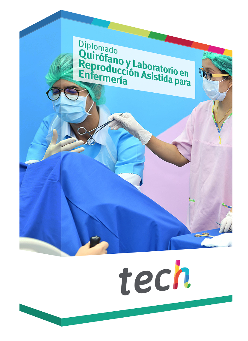 Diplomado en Quirófano y Laboratorio en Reproducción Asistida para Enfermería TECH Brasil Diplomado en Quirófano y Laboratorio en Reproducción Asistida para Enfermería TECH Brasil