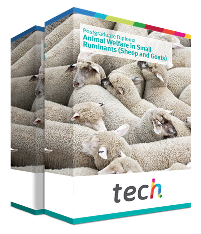 Postgraduate Diploma in Animal Welfare in Small Ruminants (Sheep and Goats)