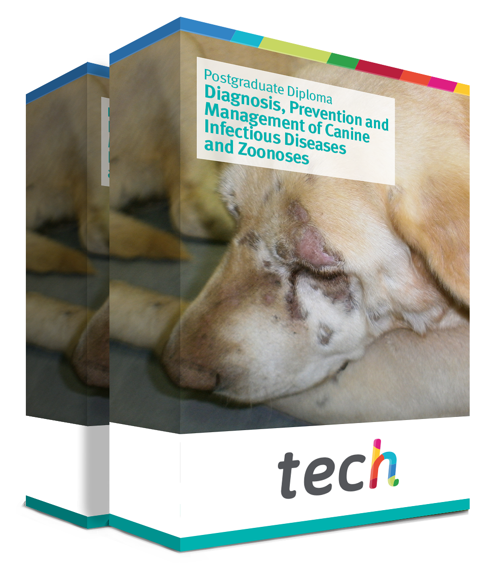 Postgraduate Diploma in Diagnosis, Prevention and Management of Canine