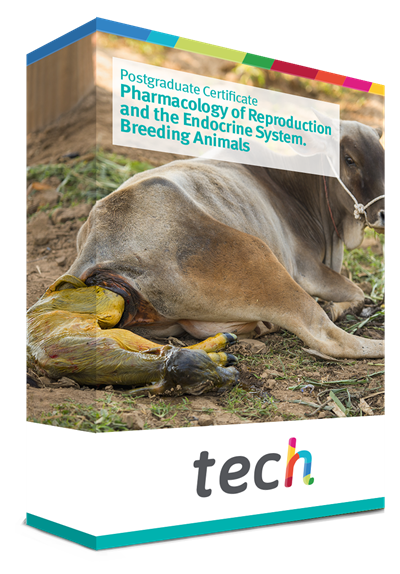 Postgraduate Certificate in Pharmacology of Reproduction and the Endocrine System. Breeding Animals Postgraduate Certificate in Pharmacology of Reproduction and the Endocrine System. Breeding Animals