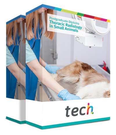 Postgraduate Diploma in Thoracic Radiology in Small Animals Postgraduate Diploma in Thoracic Radiology in Small Animals