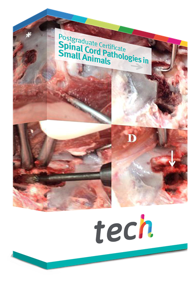 Postgraduate Certificate in Spinal Cord Pathologies in Small Animals Postgraduate Certificate in Spinal Cord Pathologies in Small Animals