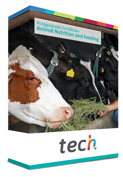 Postgraduate Certificate in Animal Nutrition and Feeding Postgraduate Certificate in Animal Nutrition and Feeding